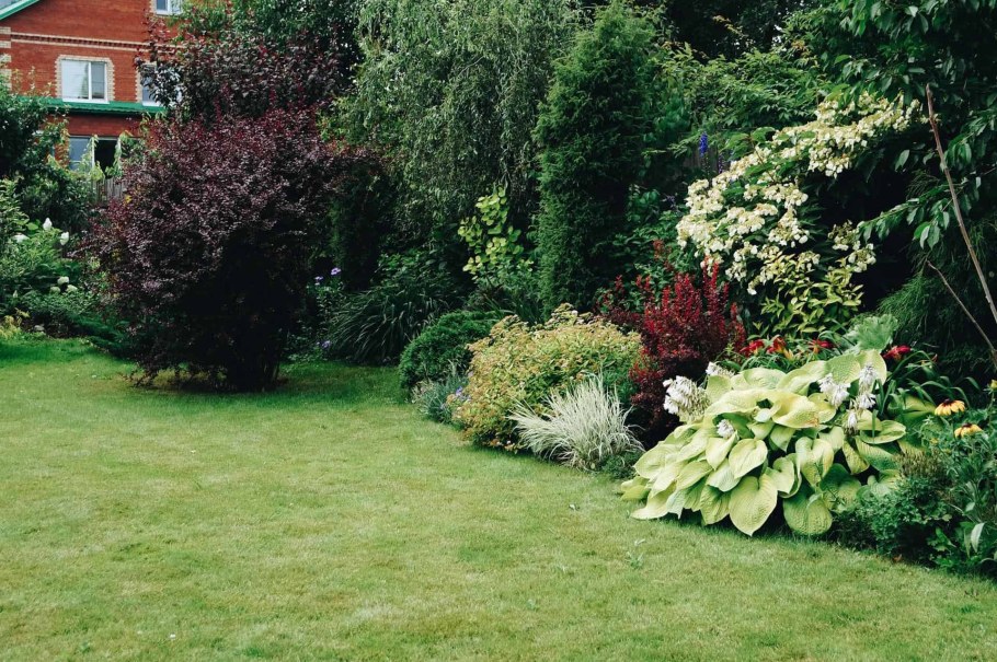 Цветник туя Барбарис дерен