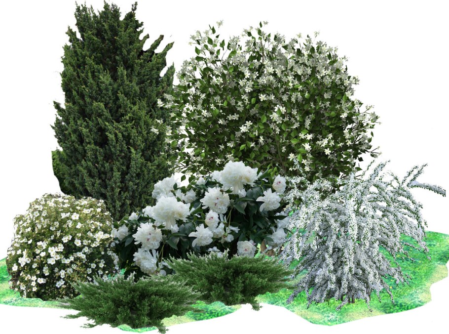 Клумба с чубушником и спиреей