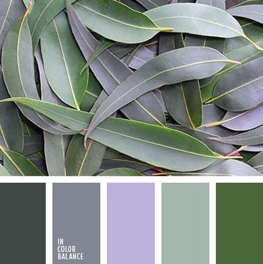 Сочетание цветов с эвкалиптом