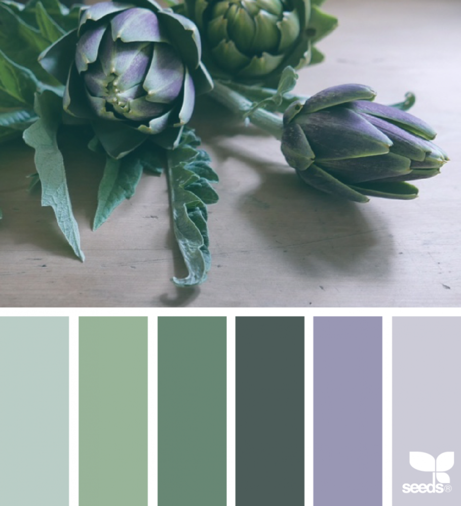 Палитра шалфей селадон олива