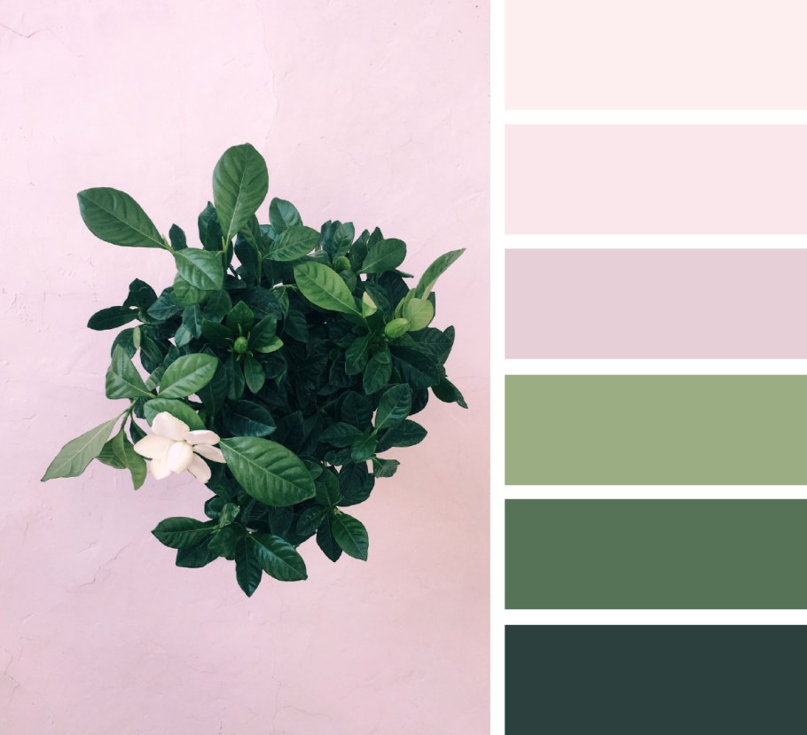 Seeds Color Palette изумрудный