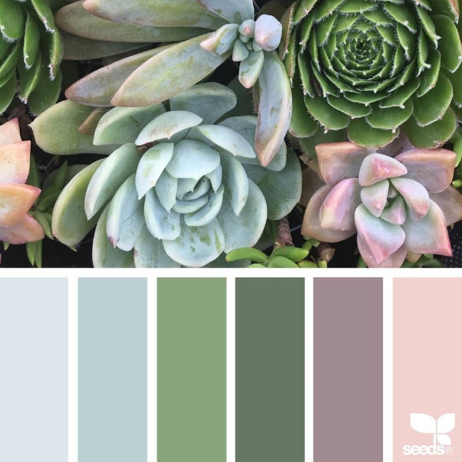 Палитра шалфей селадон олива