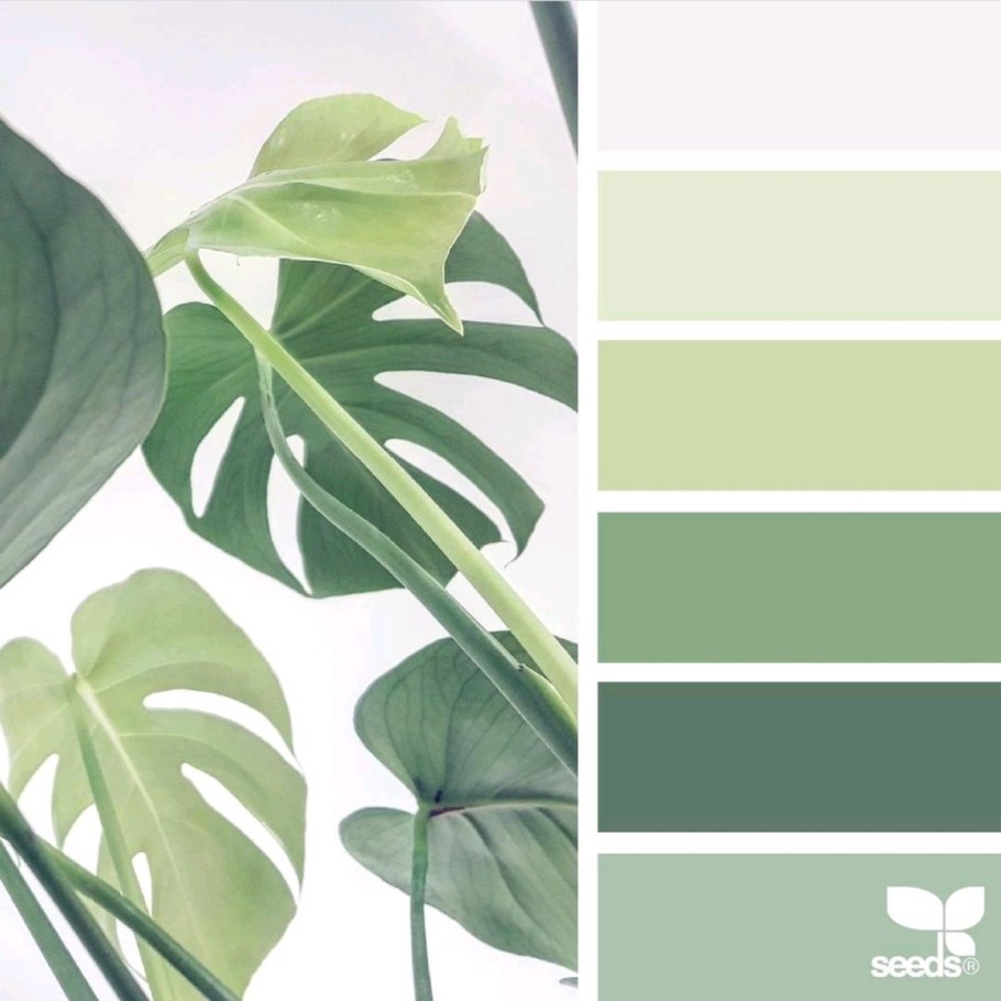 Фисташковый цвет сочетание