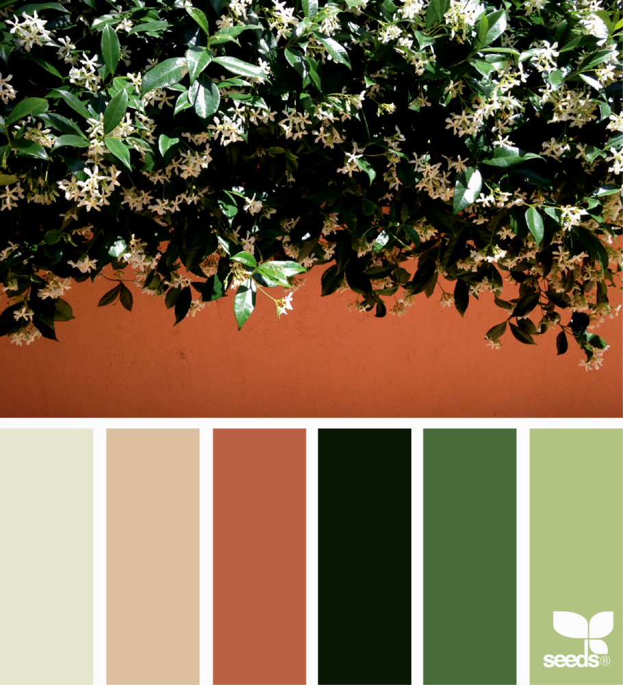 Seeds Color Palette изумрудный