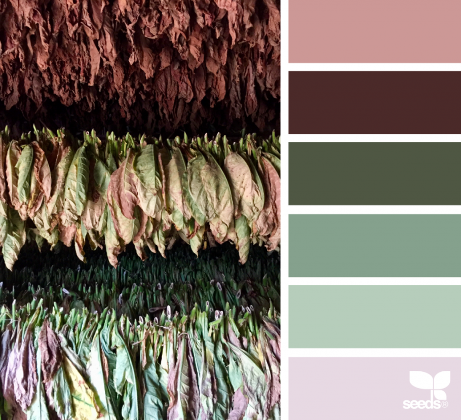 Цветовые сочетания