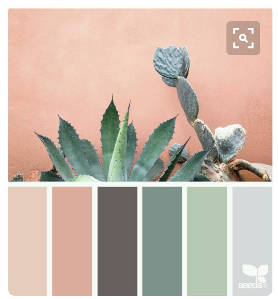 Цветовая палитра пантон шалфей