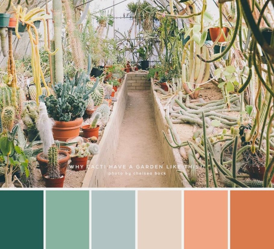 Цветовые сочетания с терракотовым