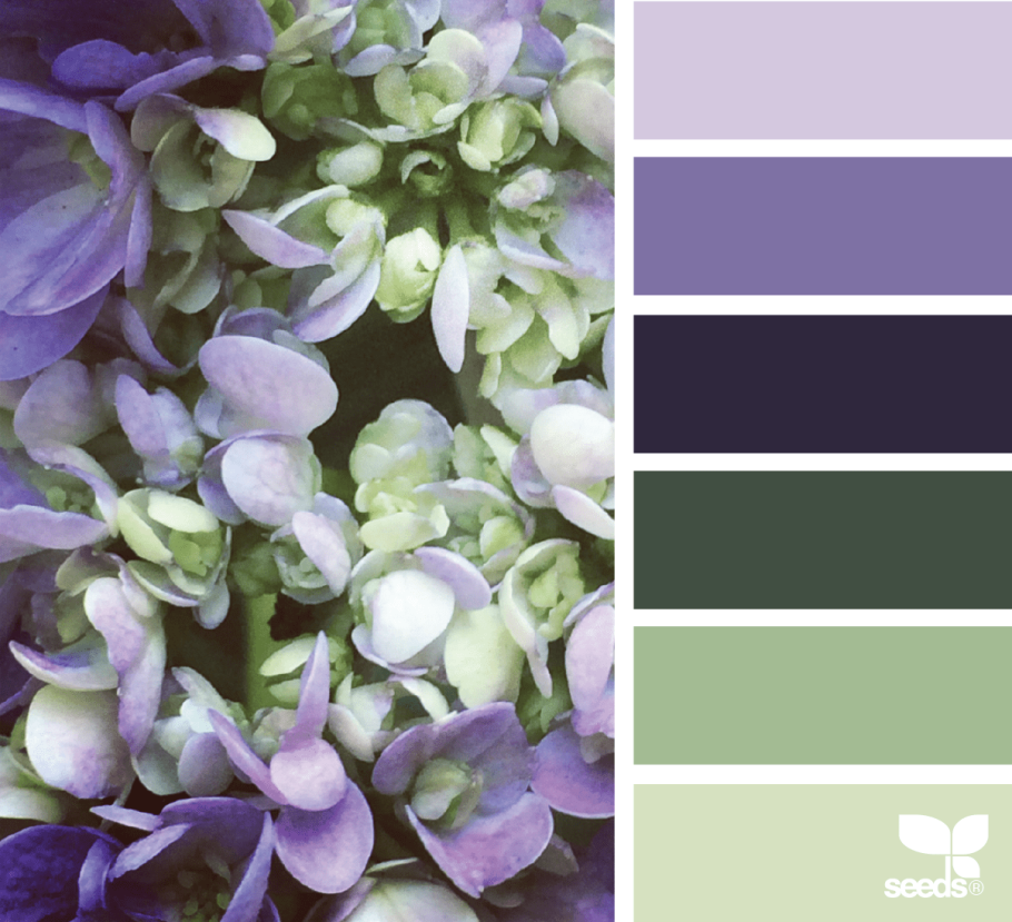 Палитра Сидс сирень