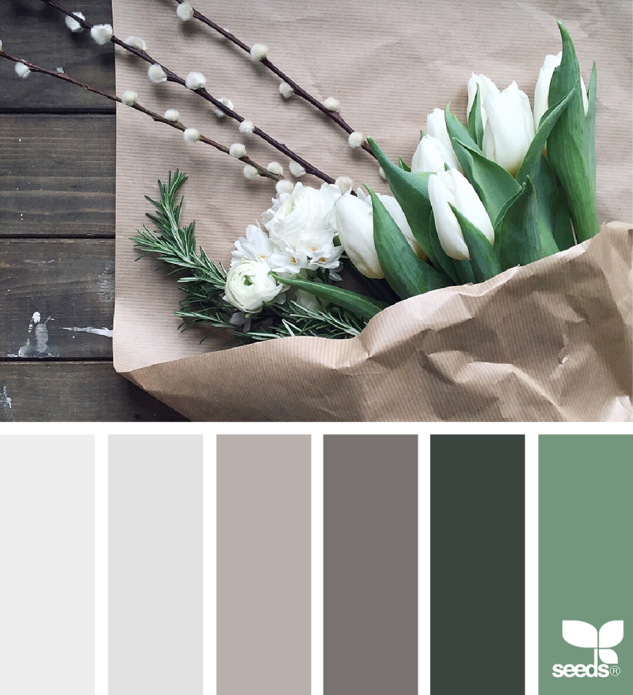 Seeds Color Palette изумрудный