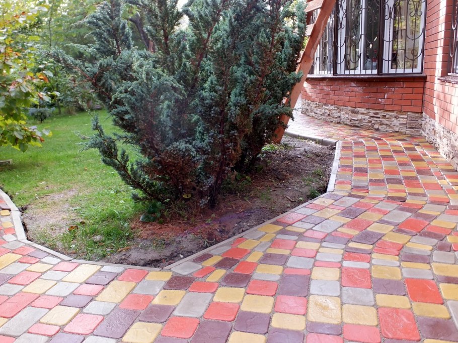 Можжевельник чешуйчатый (Juniperus squamata meyeri