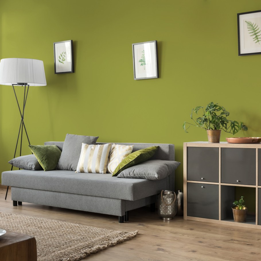 Оливковый цвет стен