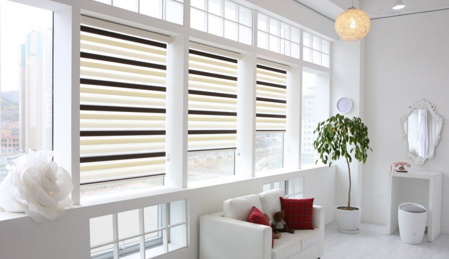 Рольшторы Зебра день ночь