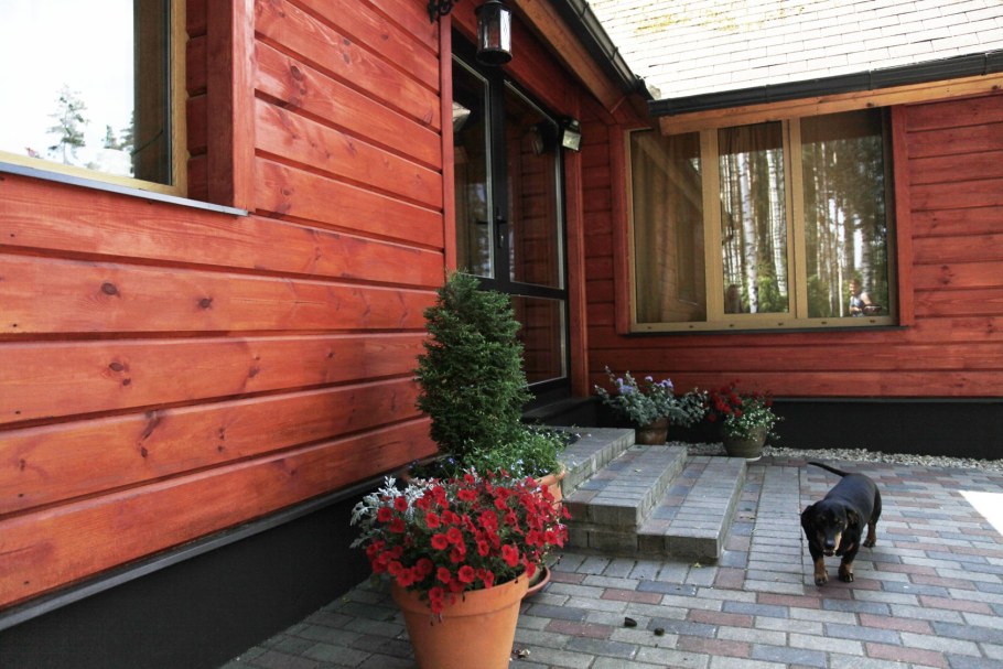 Дом покрытый морилкой