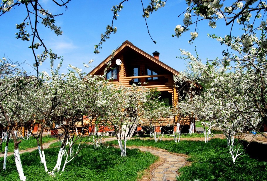 Усадьба вишнёвый сад Нижегородская область