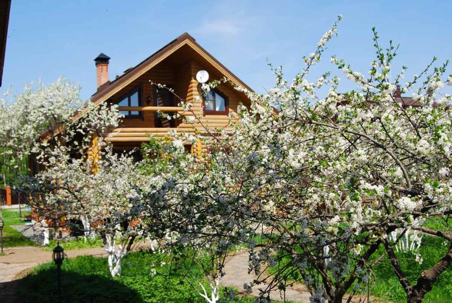 Вишнёвый сад Нижний Новгород сад