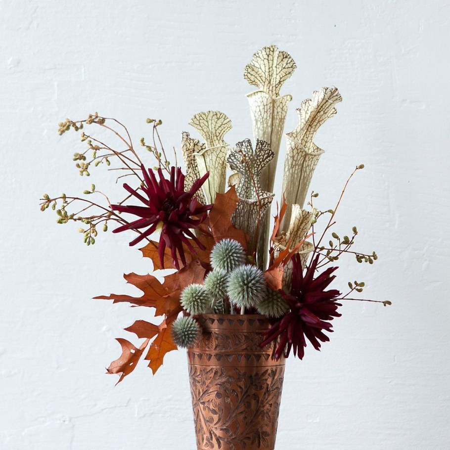 Сухостой цветы для букетов