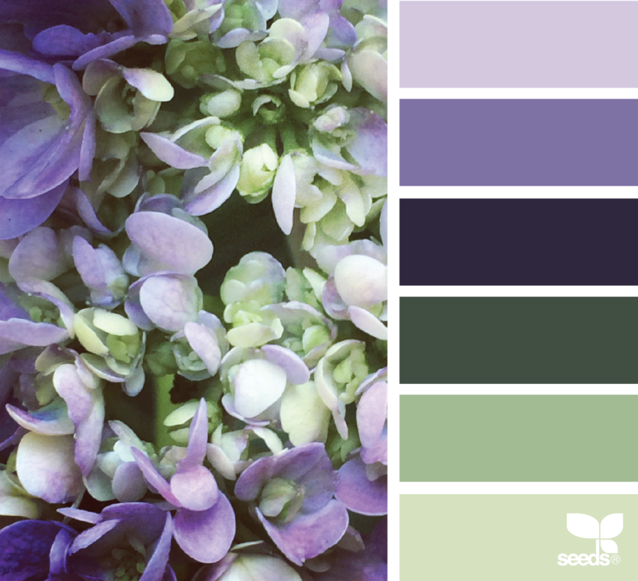 Палитра Лаванда шалфей