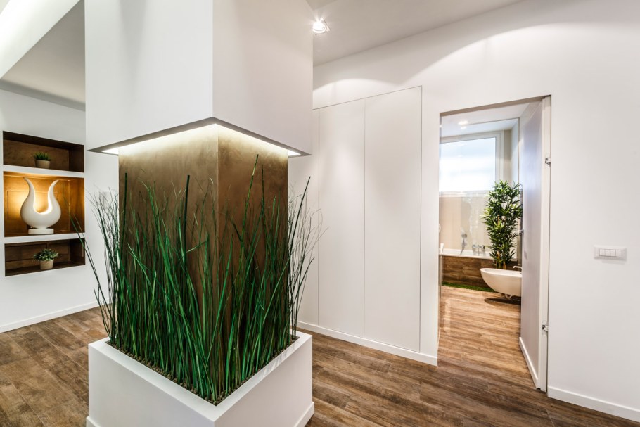 Растения в интерьере