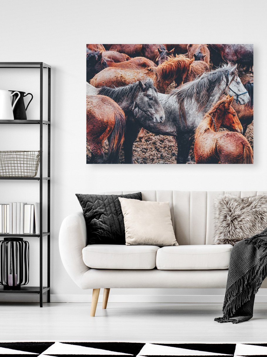 Интерьерная картина животное