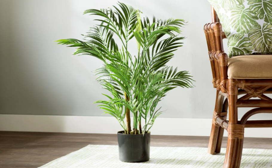 Ховея Форстера