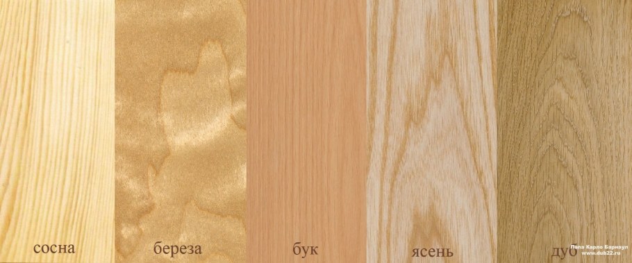 Цвета бук, дуб, ясень