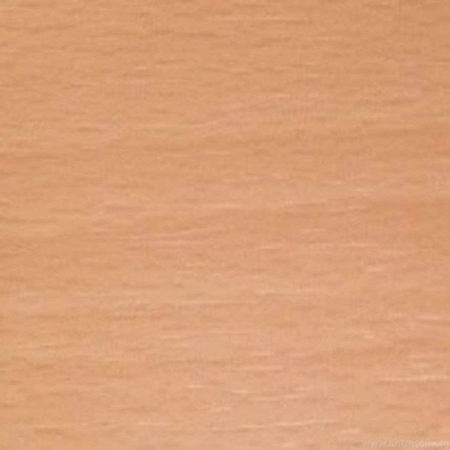 ЛДСП 16 мм бук Бавария светлый