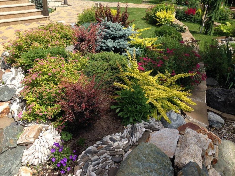 Рокарий туя Барбарис