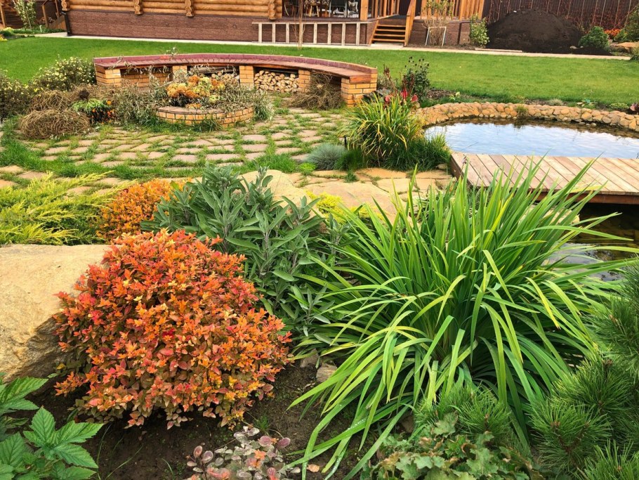 Спирея японская Голд Флейм