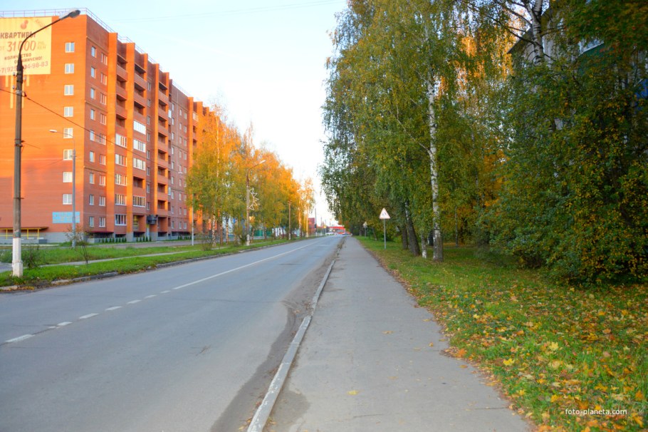 Талдом Юбилейный 29