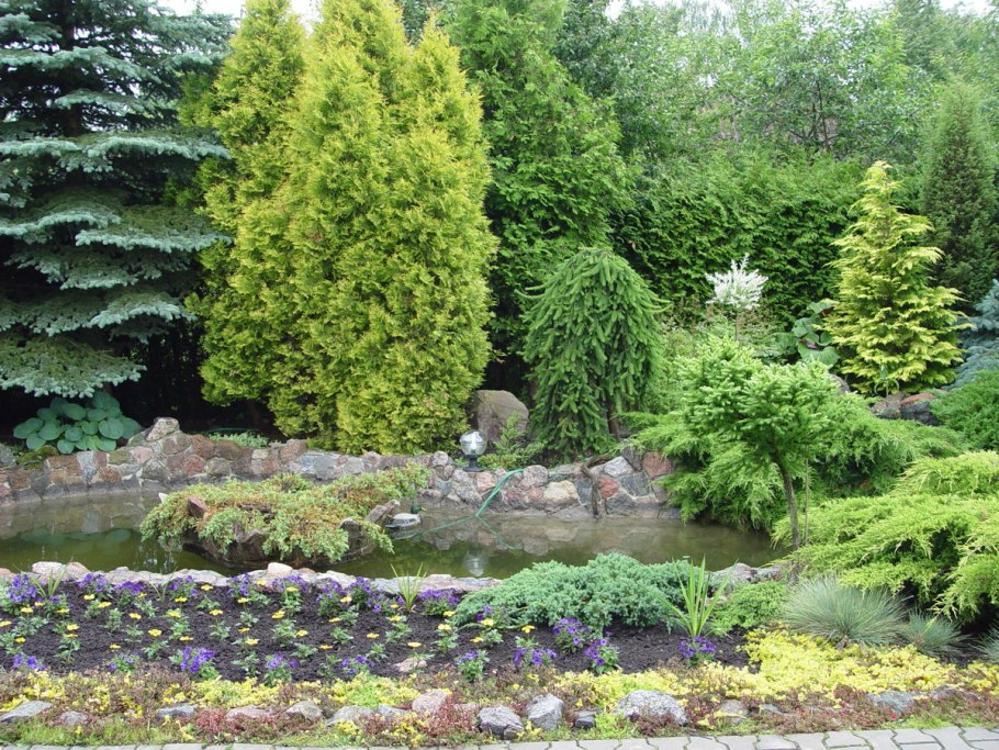 Садовые композиции с хвойниками и кустарниками