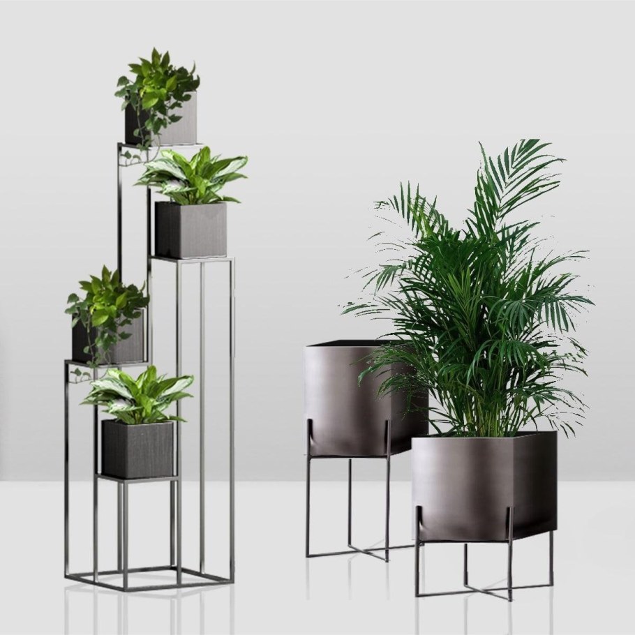 Замиокулькас + Lechuza