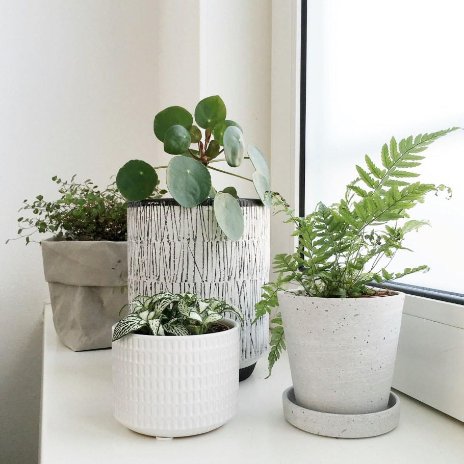 Цветочные горшки в интерьере