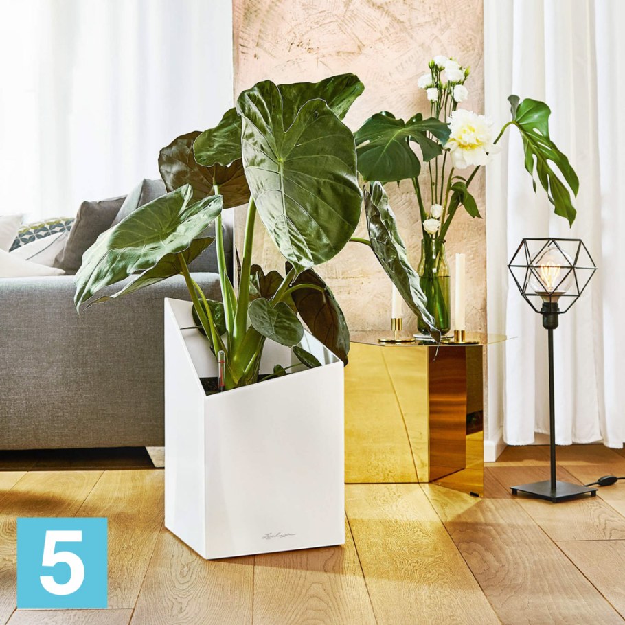 Кашпо Lechuza Cursivo 30