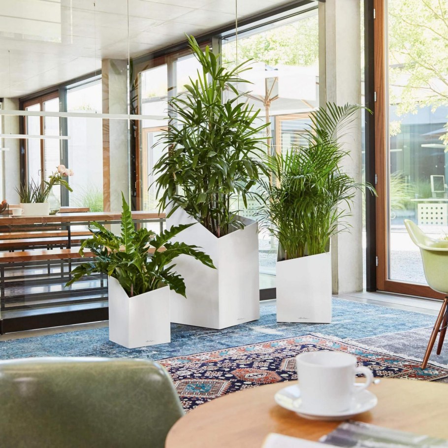 Кашпо Lechuza Cursivo 30