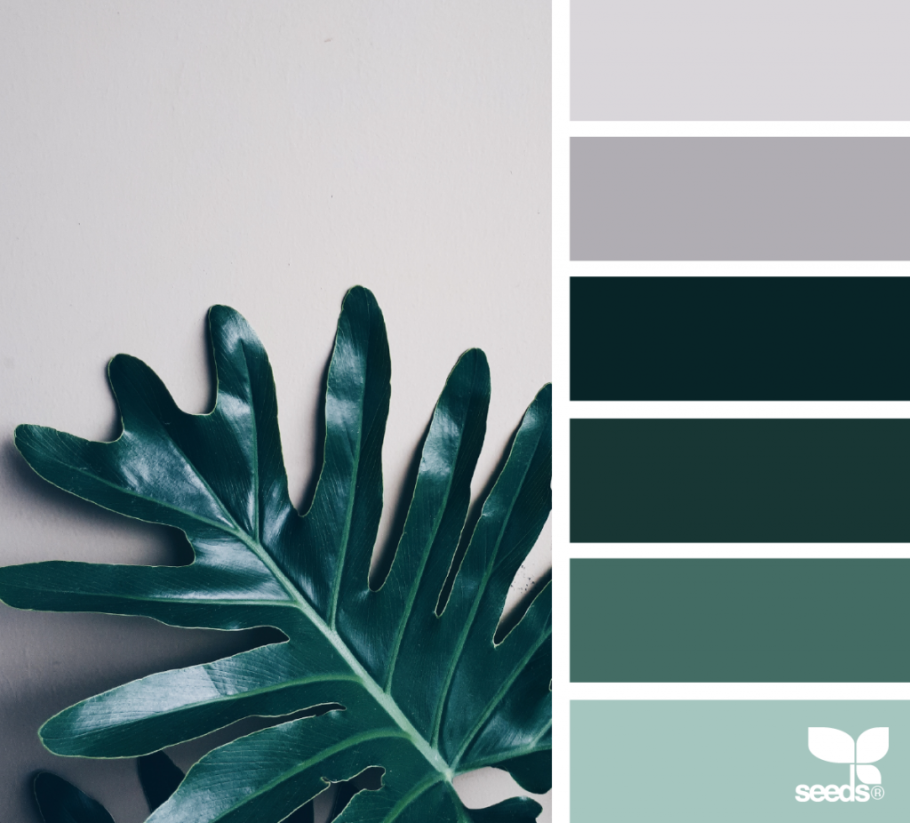 Цветовая палитра пантон шалфей