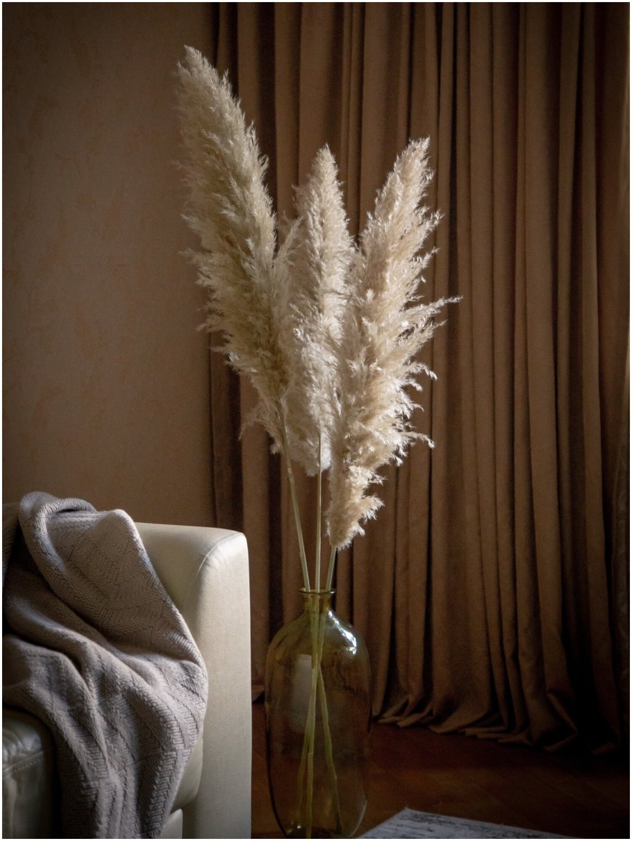 Пампасная трава кортадерия сухоцветы