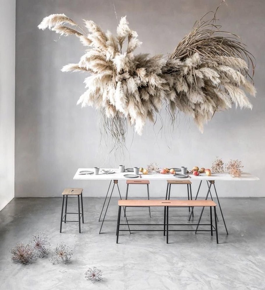 Пампасная трава cухоцвет