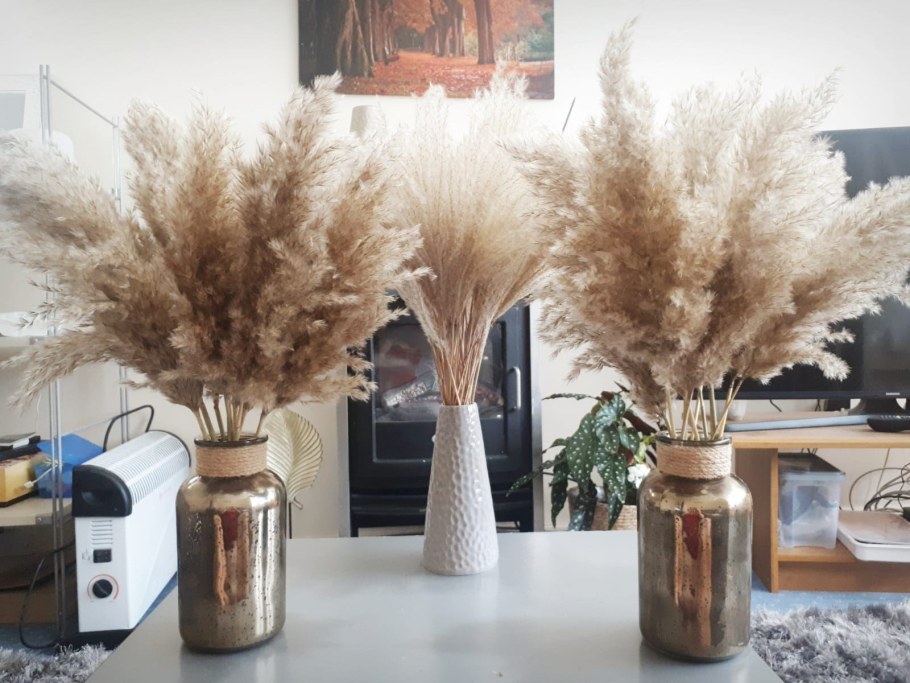 Сухоцвет кортадерия камыш