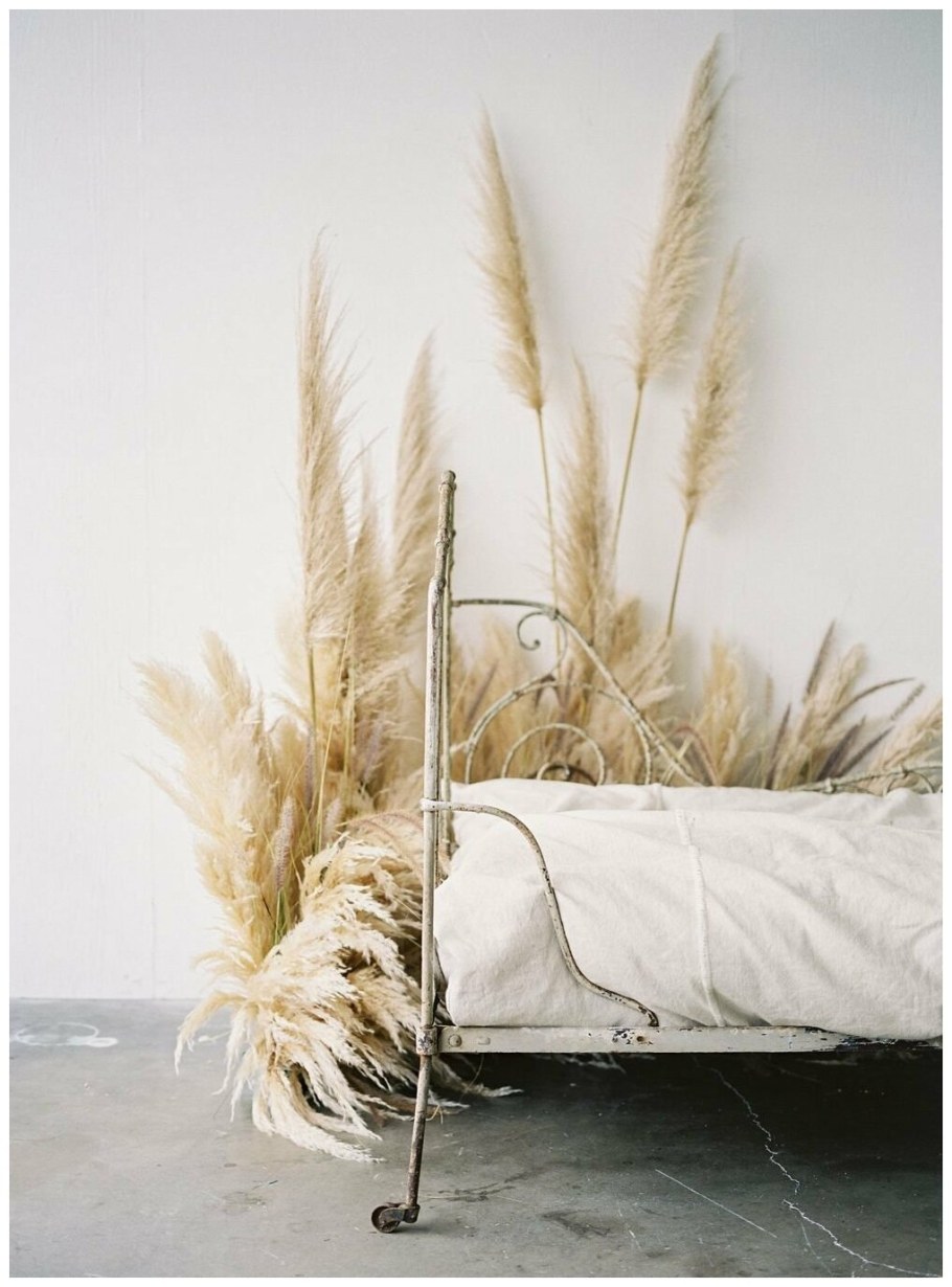 Пампасная трава камыш