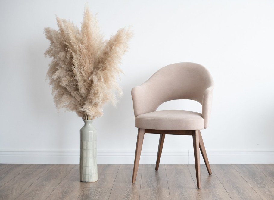 Пампасная трава cухоцвет