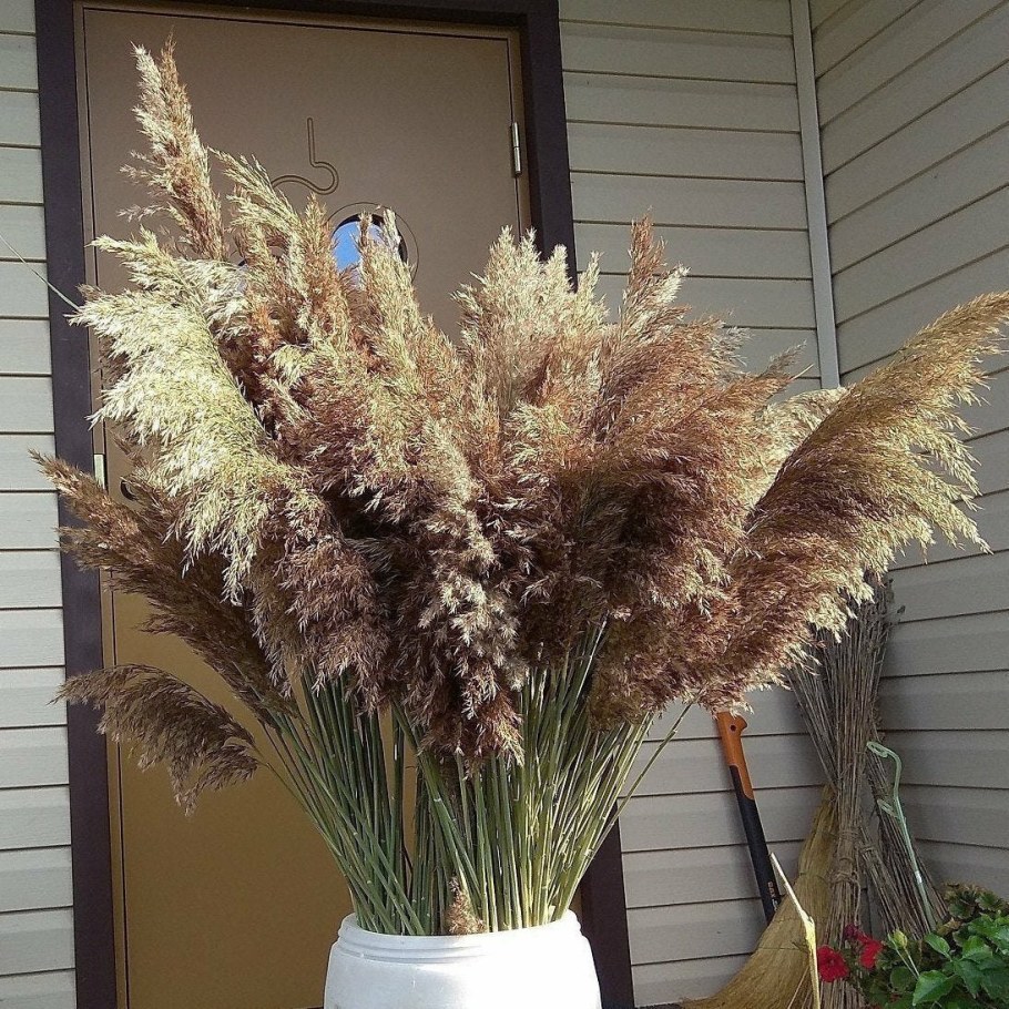 Цветы с пампасной травой