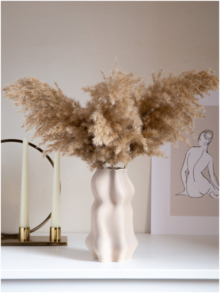 Пампасная трава cухоцвет