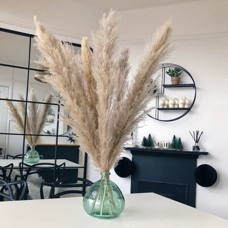 Кортадерия сухоцвет