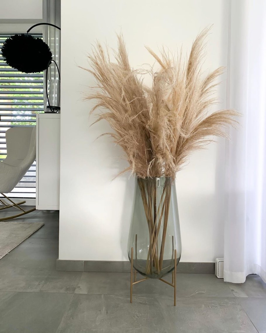 Папасская трава в интерьере