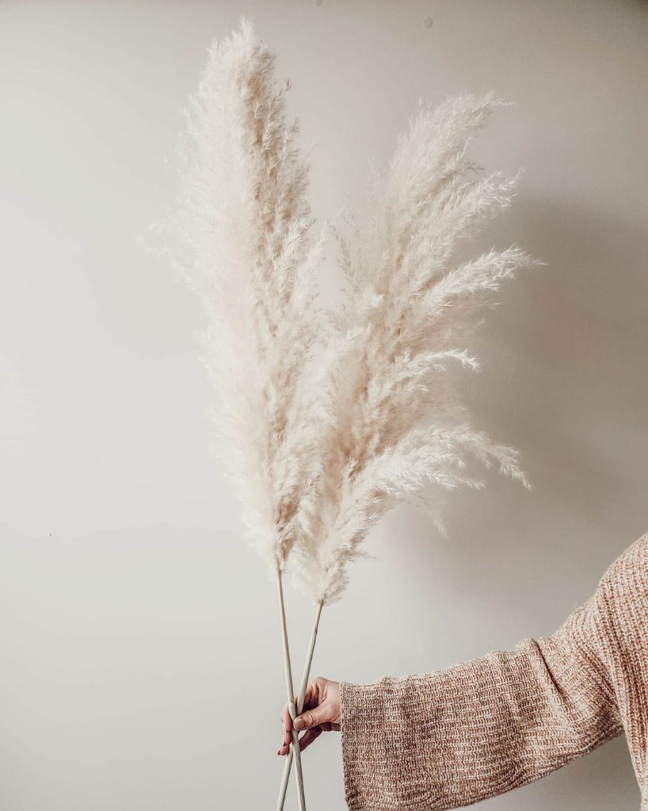 Пампасная трава