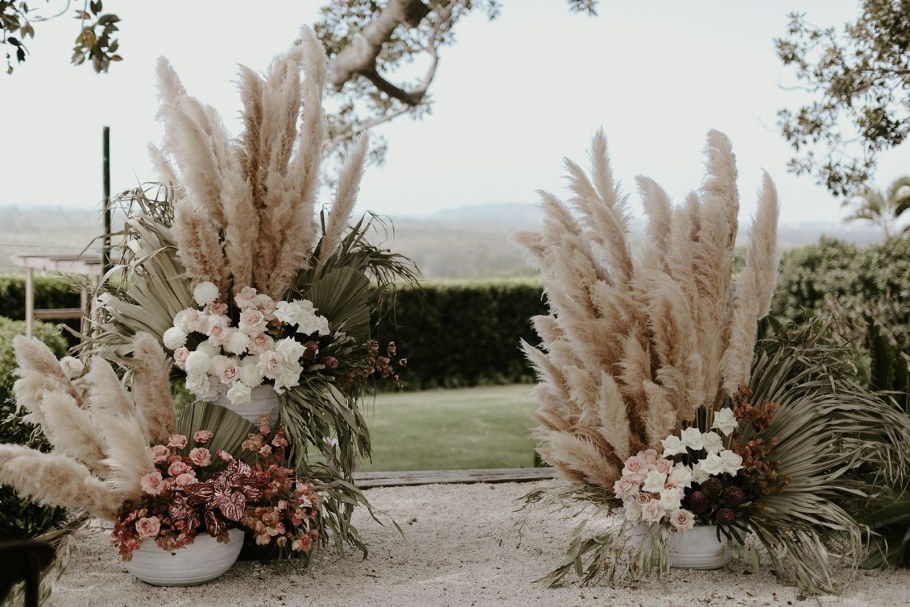 Пампасная трава кортадерия сухоцветы