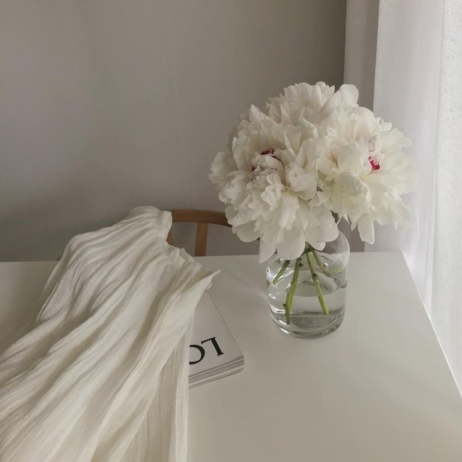 Светлая Эстетика