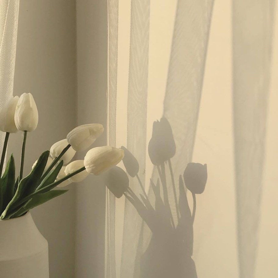 Белые тюльпаны