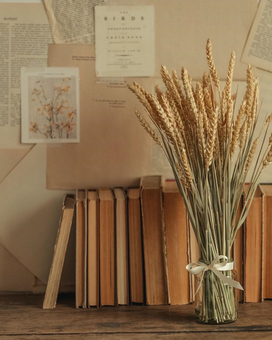 Эстетика коричневого и бежевого