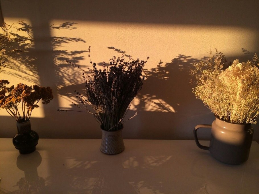 Цветы в коричневых тонах